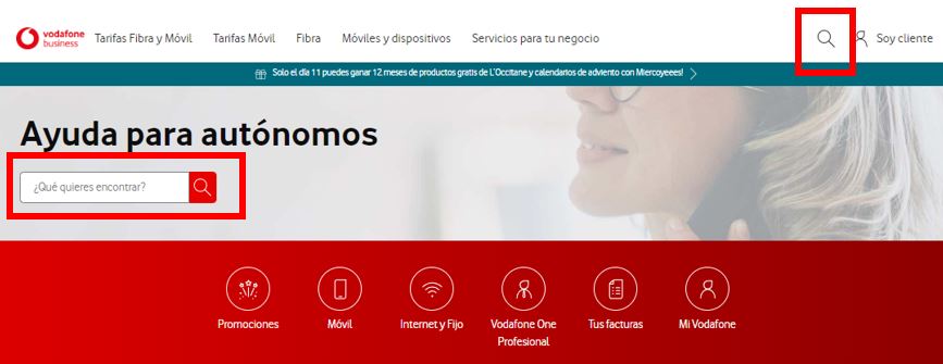 Detalle de cómo buscar en la web de Ayuda, abre ventana modal.